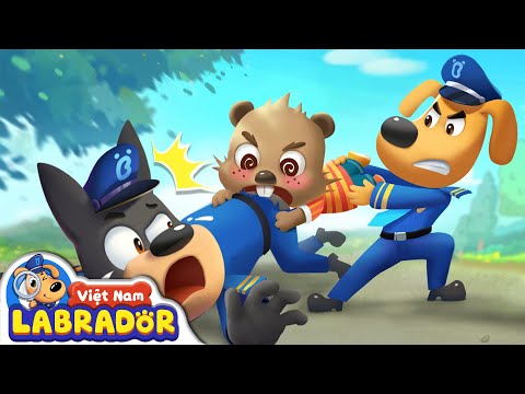 Gấu Con gặm gặm | Cảnh sát trưởng labrador | Hoạt hình thiếu nhi vui nhộn | BabyBus