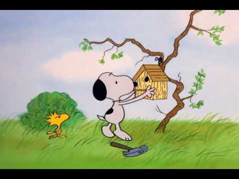 Snoopy Builds Woodstock's Birdhouse