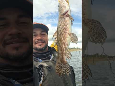 Rio Corrente Aporé-GO #viral #fishing #caiaque #traíras