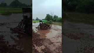 tractor harvesting paddy fields | village nature | palle pata