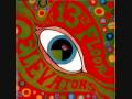 13th Floor Elevators- Splash 1 (Audio Only)