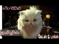 Cats and dogs(TAMIL DUBBED) funny