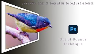 Photoshop çerçeve dışı 3 boyutlu fotoğraf efekti.Out of Bounds Technique Photoshop Tutorial