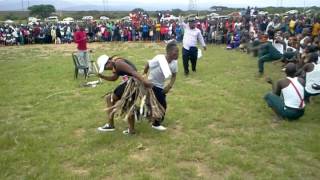 Download lagu Traditional dance at Ulundi..25 December 2016 mp3 Download lagu Traditional dance at Ulundi..25 December 2016 mp3