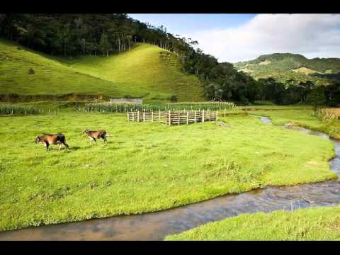 Desastre Do Rio Pardo - Zé Goiano e Goianinho