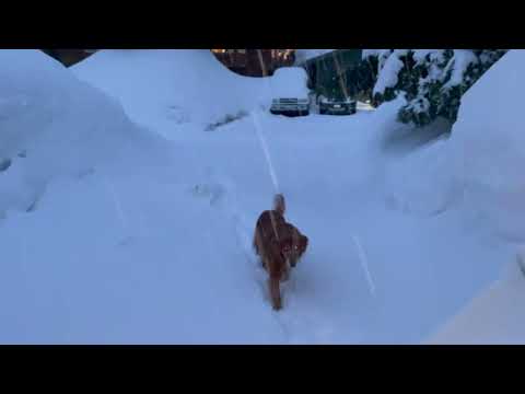 Spooner Pass in a Blizzard 3/4/23