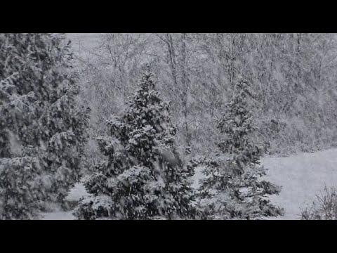 Heavy Snowfall - Fort Wayne, IN 12-28-21
