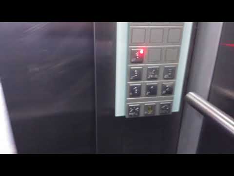 NZ: (VANDALIZED) Express Mod.  S**tler 3300 @ Lombard Car Park (Wellington CBD)