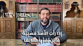 كرسي المتنبي (شرح ديوان المتنبي) - حلقة (٣٣٧) - أيمن العتوم image