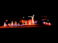 Christmas Lights Display 2008