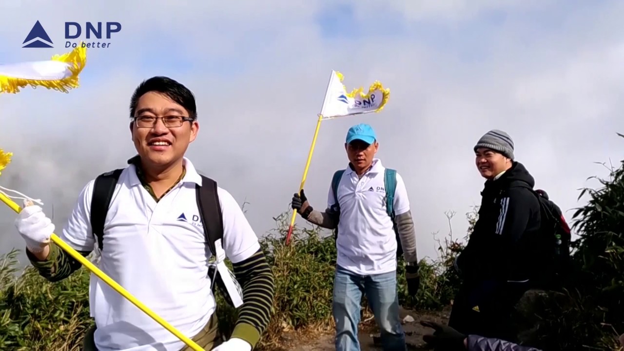 DNP Corp - Logo Intro