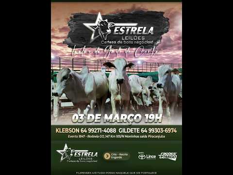 ESTRELA LEILÕES -  03 / 03 / 2026 -  16:00 HS. - Morrinhos  - Goiás