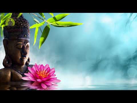 " Healing Anxiety & Stress" 1 Hour Deep Healing Music for The Body & Soul, Meditation Music, Relax
