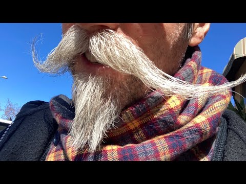 Saturday morning walk Toluca Lake CA