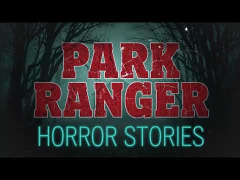 Park Ranger's Toughest Winter Rescue Stories  | Forest Ranger, National Park, Missing Person