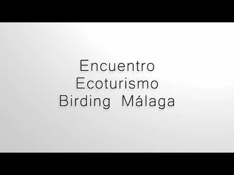 Encuentro Ecoturismo Birding M�laga. Fuente de Piedra 2025