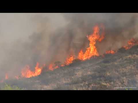 Marcos Juárez: Día de la concientización para la prevención de incendios forestales