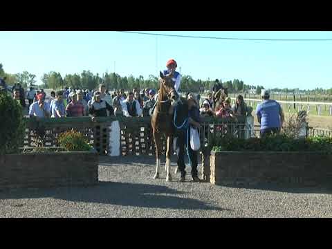 HIPODROMO SINT FLORIDA - 220421 c07 1° MAGIC DISNEY