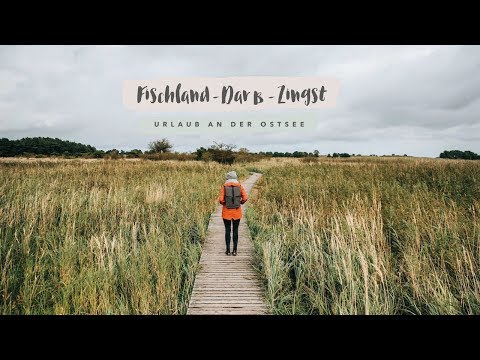 Sommertage auf Fischland-Darß-Zingst