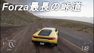 今作の峠道は過去最長らしい【FH5】実況