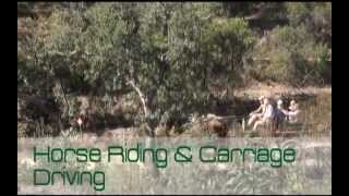 preview picture of video 'A day in Algarve with New Forest Lodge: Cooking School and Horse riding!'