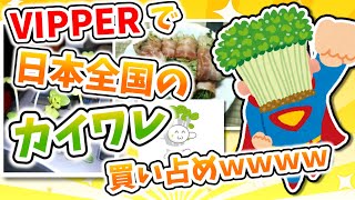 【2ch祭り】日本全国のカイワレ買い占めようぜwwwwwwww【伝説のスレ】#ゆっくり解説 #2ch面白いスレ
