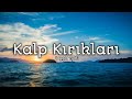 Kalp Kırıkları Remembering Old Days Slowed Reverb With Rain Wind Effect