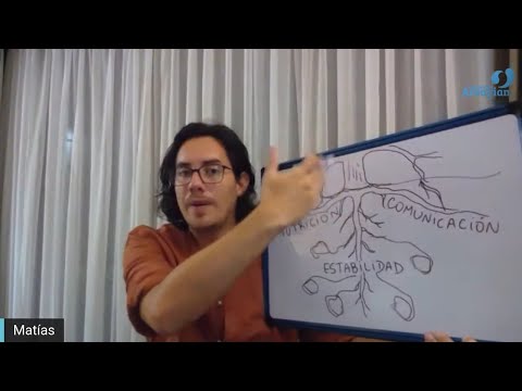 Day 347 Edición en Español - RAICES - Spanish edit- Matias De Stefano