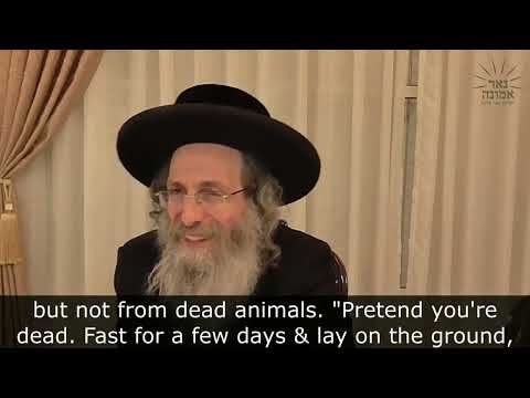 אלע טירן זענען יעצט  אפן  מען קען אלעס אויספוילען!! With English subtitles | הרב אלימלך בידרמן