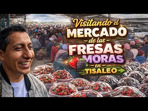 La feria más dulce del Ecuador ¡Una verdadera LOCURA! 😱 Feria de la Fresa y Mora en Tisaleo