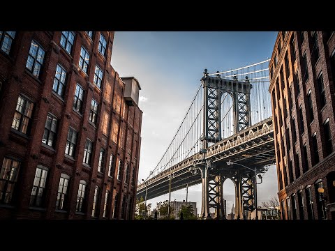 Making Of Dumbo - 51 Jay St