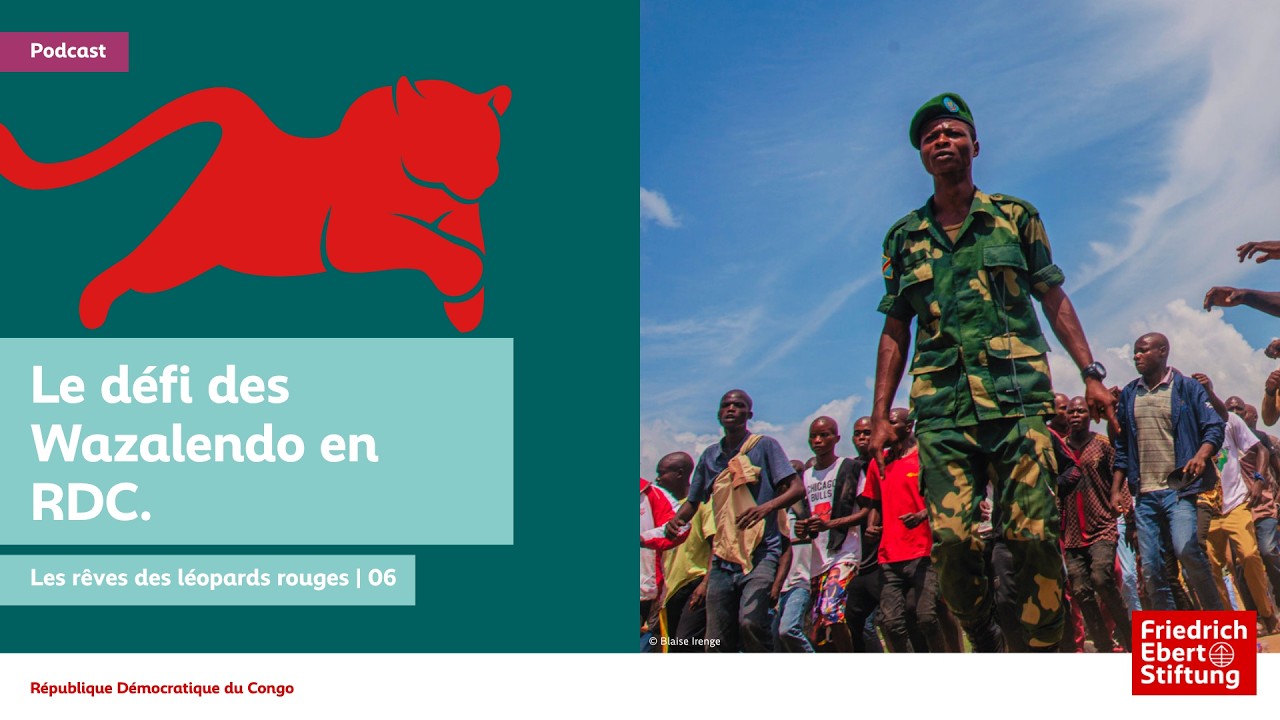 Le défi des Wazalendo en RDC