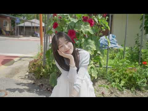 비디오 8
