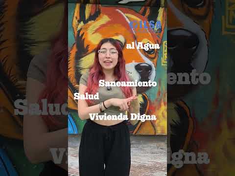 Victoria en Paso El Medio: fallo del Consejo de Estado ampara el derecho a la vivienda digna.