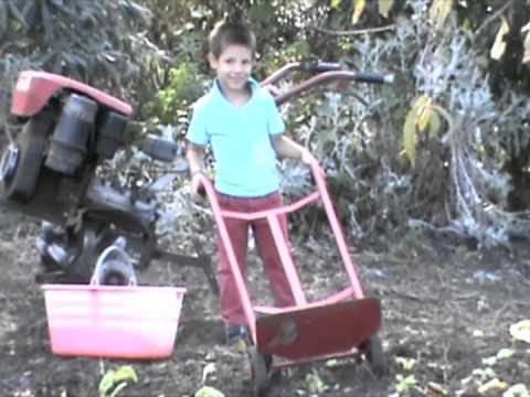 "Chie non messat, ispiga" (Chi non sa mietere, può spigolare)