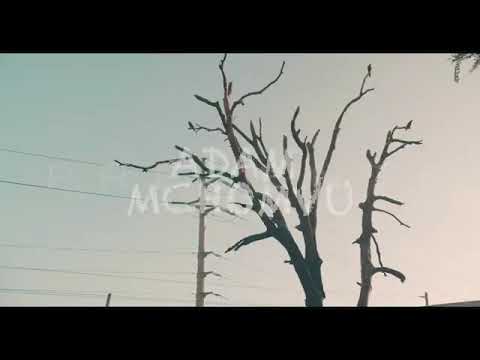 Bonge la  nyimbo kutoka kwa Adam mchomvu