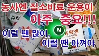 농사엔 질소비료 운용이 아주 중요!(비료, 비료 사용, 질소, 질소 비료, 질소 비료 특성, 질소의 역할, …
