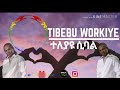 Ethipoian music - Tibebu Workiye (Teleyayu sebal ተለያዩ ሲባል)