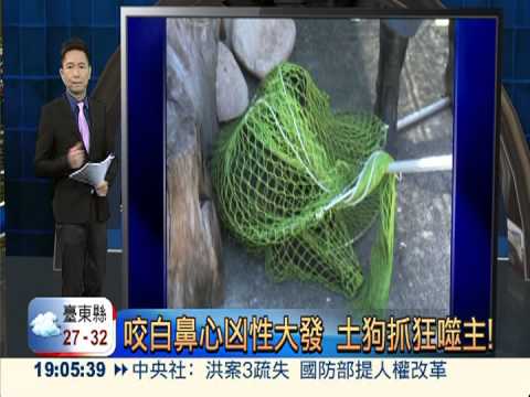 鼬獾.雪貂攻擊人! 暫無感染狂犬病