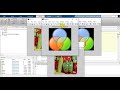 Digital image processing projects in matlab pdf