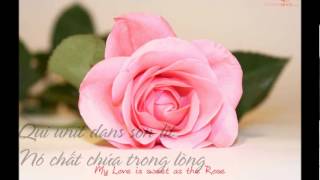 La maladie d'amour - Michel Sardou - Lyrics