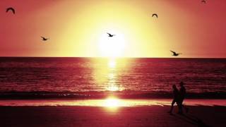 Every Breath You Take- (a-cappella) Petra Haden