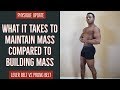 Physique Update | Maintaining Vs Building Size | Prong & Lever Belts