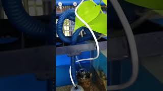 TIPS KUNG PAPAANO AKO MAG WATER CHANGE 50%