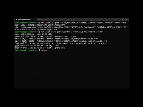 Sign container image with Notation