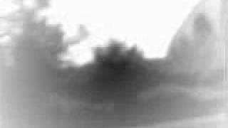 Cassandra Wilson "Red river valley"