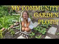 My Community Garden Plot