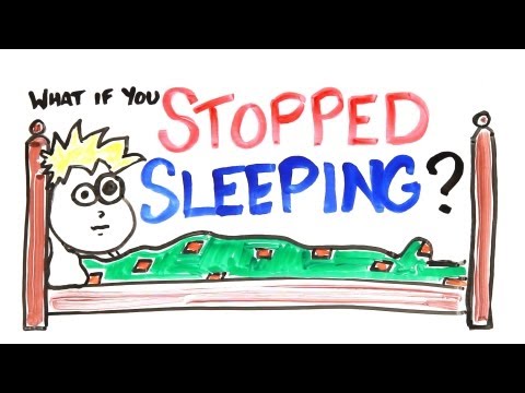 睡眠好重要！如果一直都不睡覺能活多久？ (What If You Stopped Sleeping?)