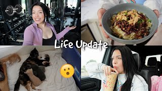 LIFE UPDATE: Home Gym, Baby Kittens?! + more