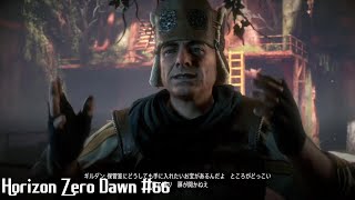 「唯一無二の狩人の物語」Horizon Zero Dawn 実況 #66